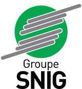 logo-snig